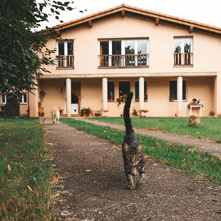 Casa De Campo La Solana Estollo Екстер'єр фото